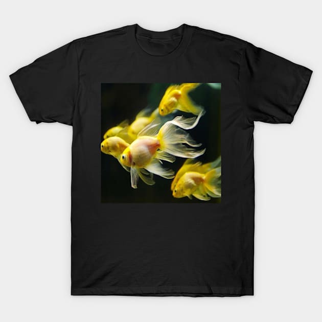 Golden Fishes T-Shirt by joshsmith